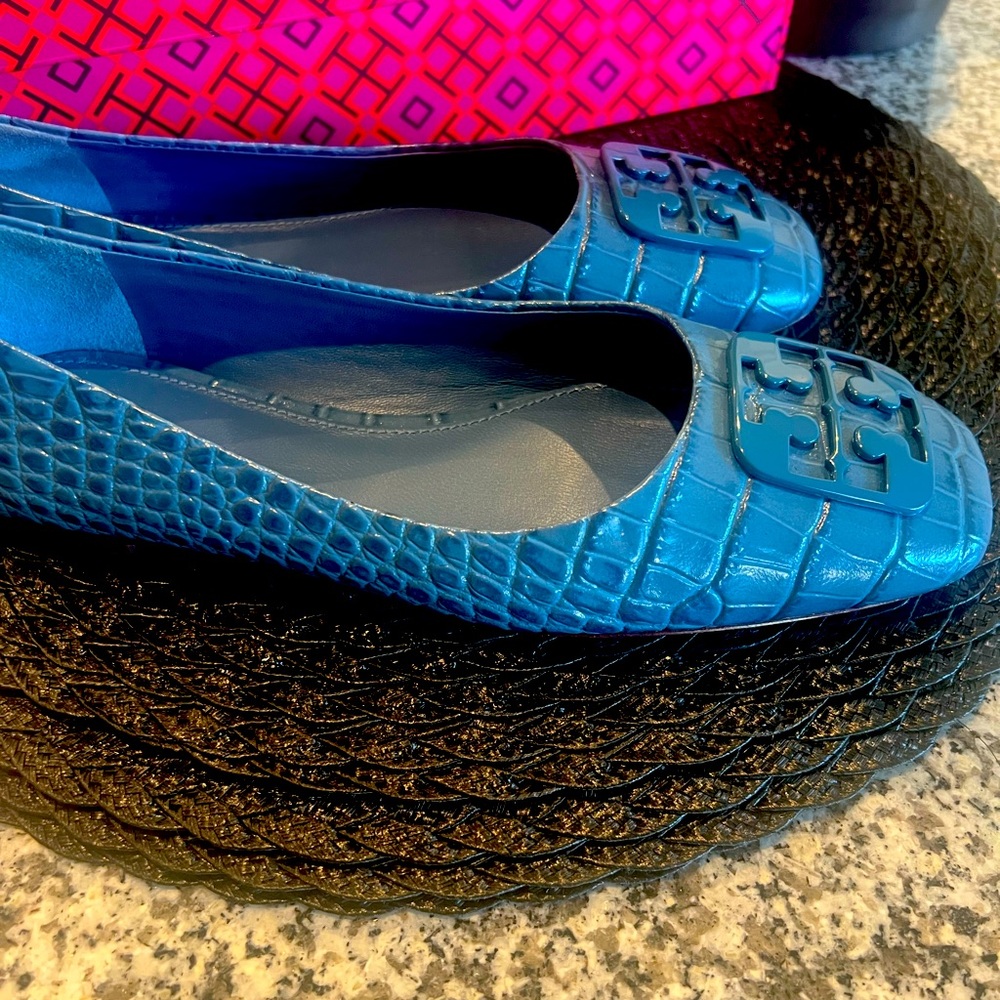 Georgia Ballet Flats TB size 6.5